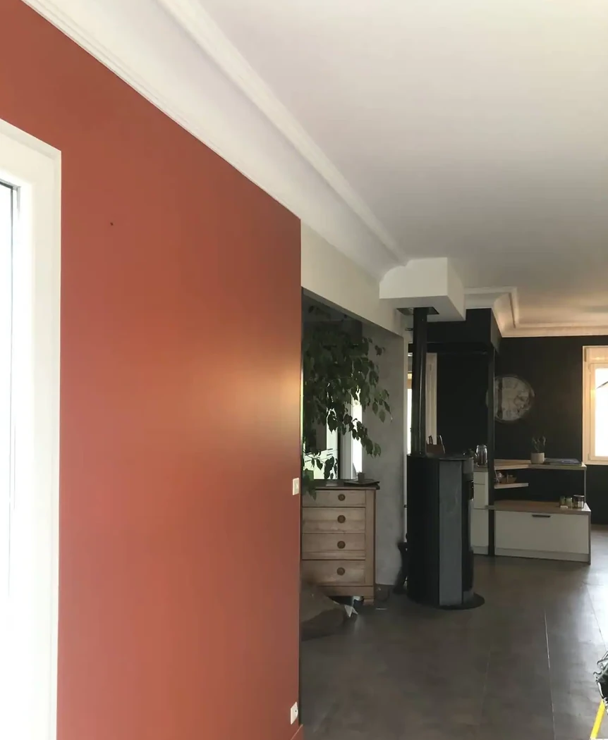 Peinture plafond corniches et murs